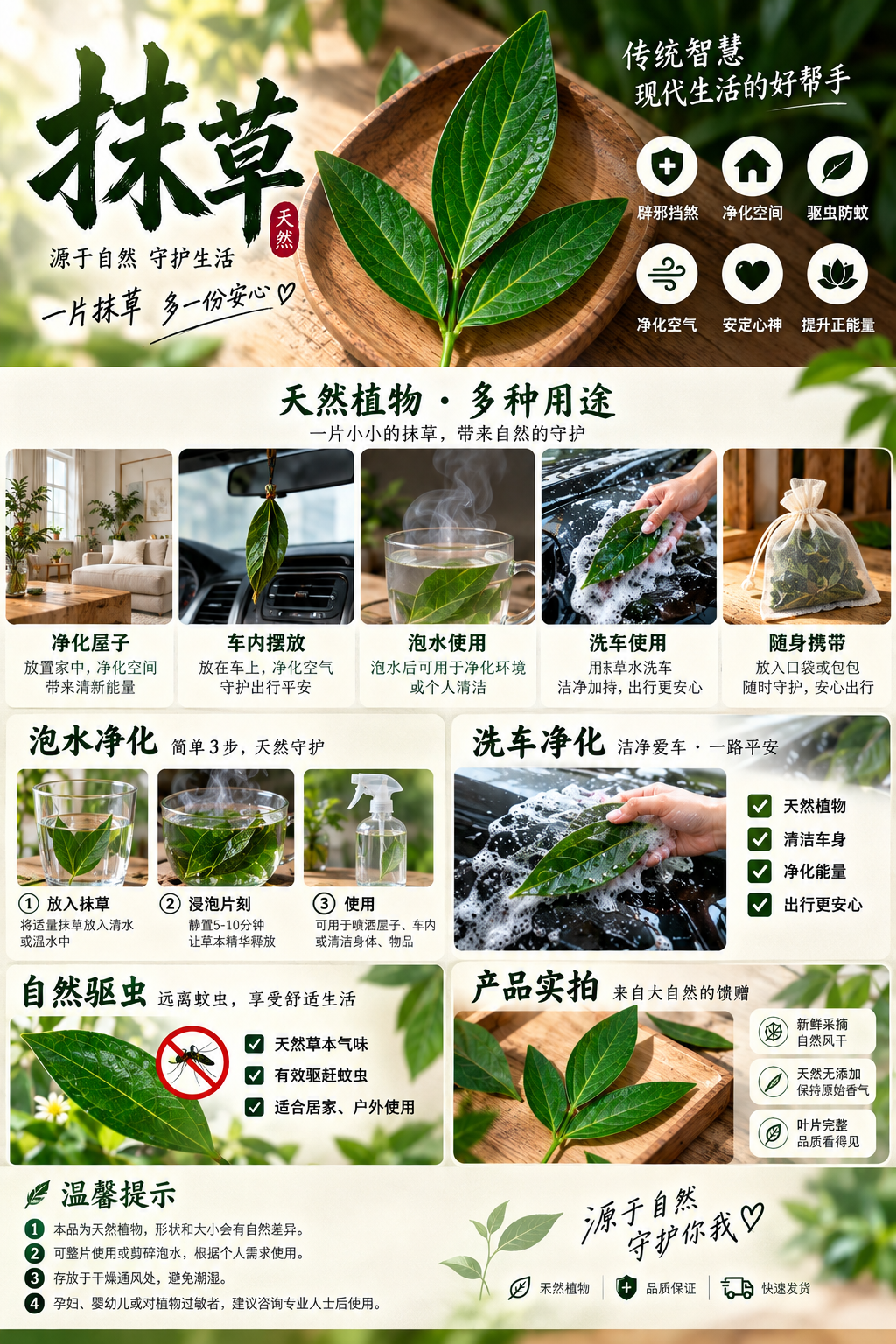 抹草商品详情宣传图
