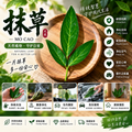 抹草商品宣传与传统用途介绍